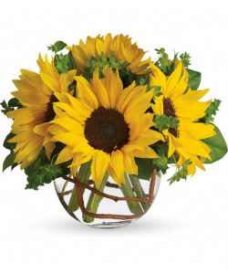 Sassy sunflower bouquet in bubble glass vase