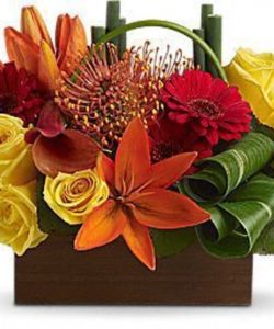 A little box of tropical sunshine! Bright orange, red and yellow blooms form a magical, modern mosaic inside a chic bamboo container. Flowers including yellow roses, orange asiatic lilies, miniature red gerberas, orange pin cushion protea plus a dark orange miniature calla lily are mixed with bamboo-like equisetum, galax leaves and rolled ti leaves. Delivered in a brown bamboo container. Approximately 13 1/4" W x 10" H.