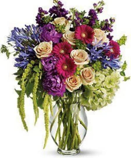 Give someone an enchanting journey through an English garden with a charmingly natural blend of flowers in a classic clear glass vase. They'll be thanking you for weeks for such a grand gesture. A spectacular blend of flowers including green hydrangea, purple stock, agapanthus, crème roses, fuchsia, miniature gerberas, purple dahlias and green hanging amaranthus. Accented with fresh greenery, and delivered in a sparkling clear glass vase. Bouquet is approximately 20" W x 23" H
