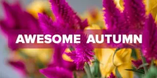 FM4-Bold—Awesome-Autumn—Blog