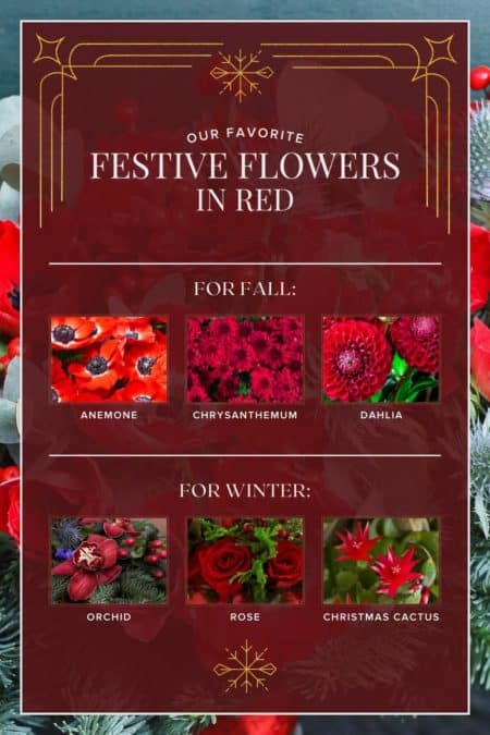 Festive red flowers 