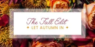 Elegant Blog Header